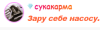 Opera Снимок_2024-02-02_111520_chat.grenka.top.png